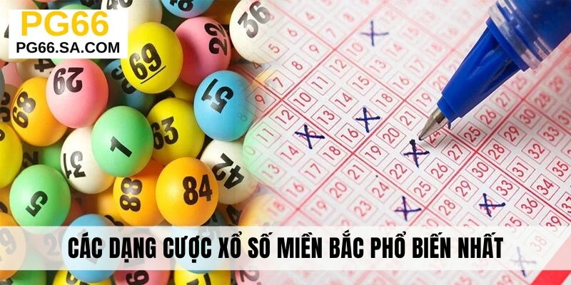 Các dạng cược xổ số miền Bắc phổ biến nhất